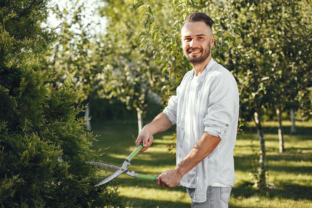 Bush Trimming for Snake Safety in Florida