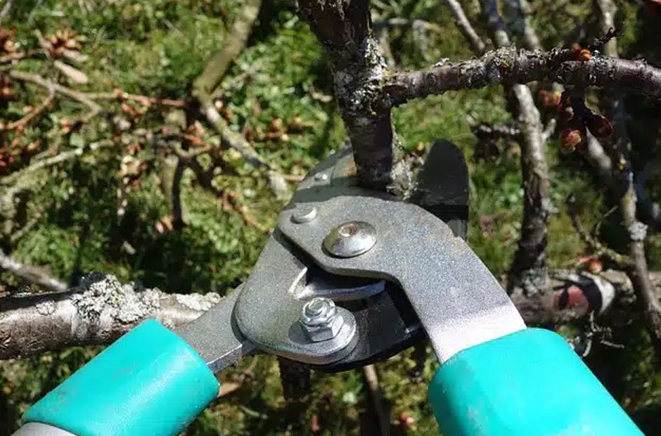 Pruning is Key to Maintaining Safety