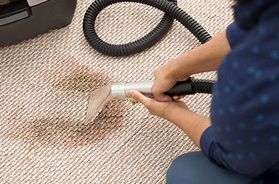 Professional Carpet Cleaning