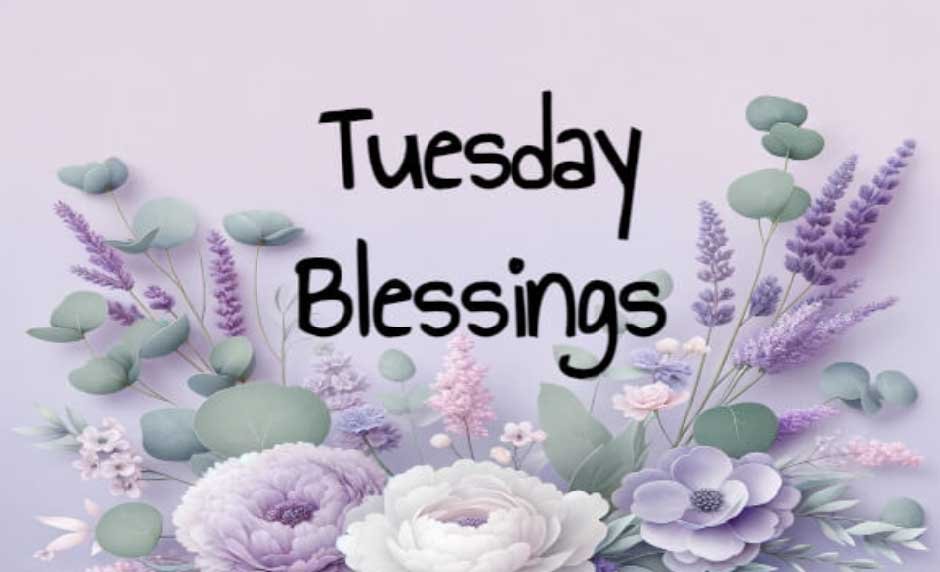 Happy Tuesday Blessings