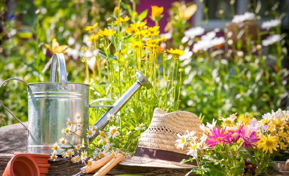 Heat-Resilient Gardening - Technology and Techniques for the Southern U.S.