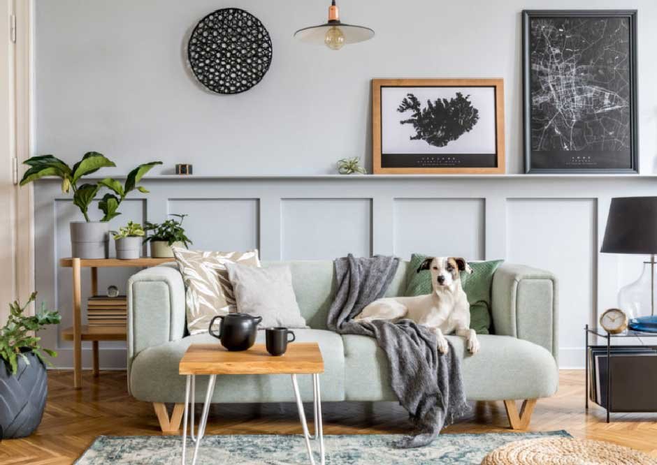 How To Revamp Your Home Without Spending a Fortune