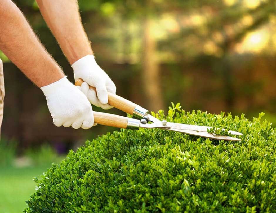 Tools To Invest in To Give Your Garden a Professional Finish