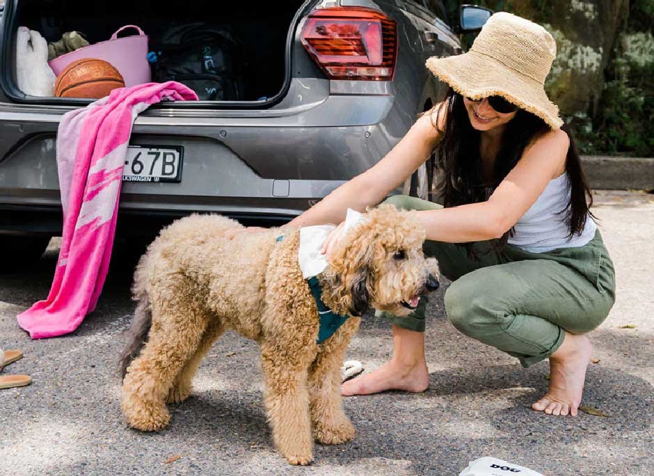 Top tips for taking your pet on vacation