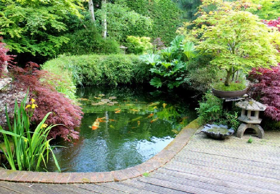 Adding water features for a peaceful outdoor escape